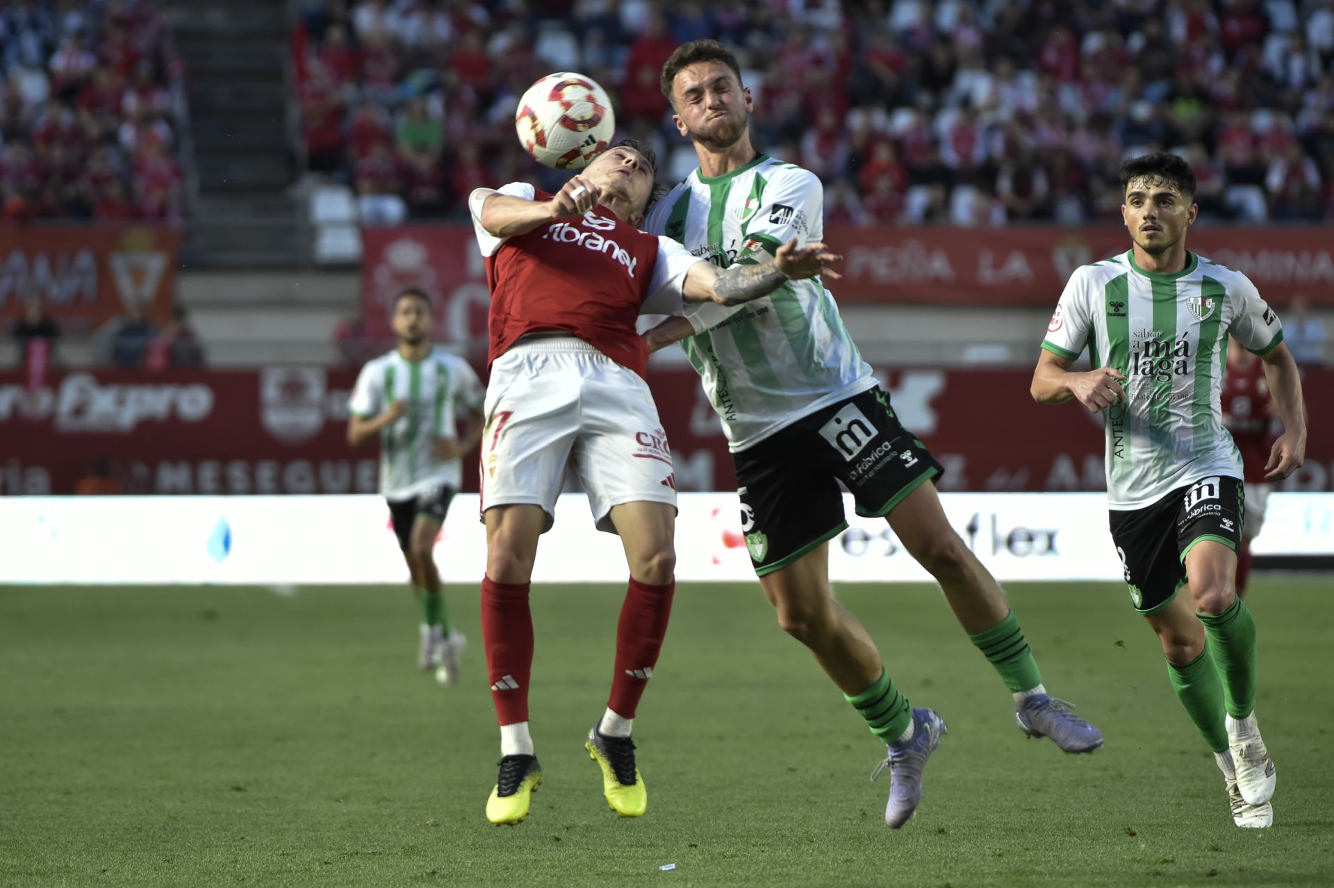 El empate del Real Murcia contra el Antequera, en imágenes