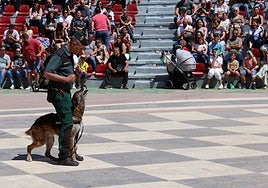 Un agente del Servicio Cinológico de la Benémerita, ayer, durante el ejercicio que realizó en Alhama.