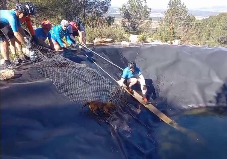 Operación de rescate improvisada en Bullas.
