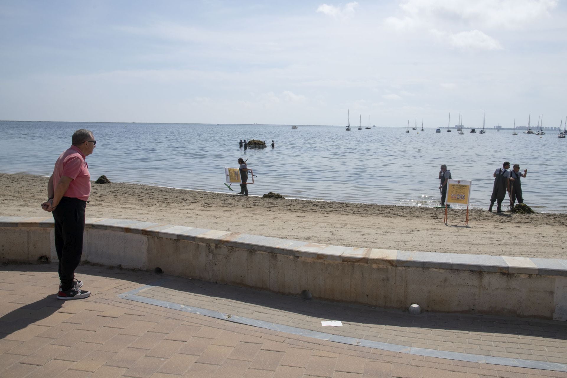 Retirada de biomasa en el Mar Menor, en imágenes