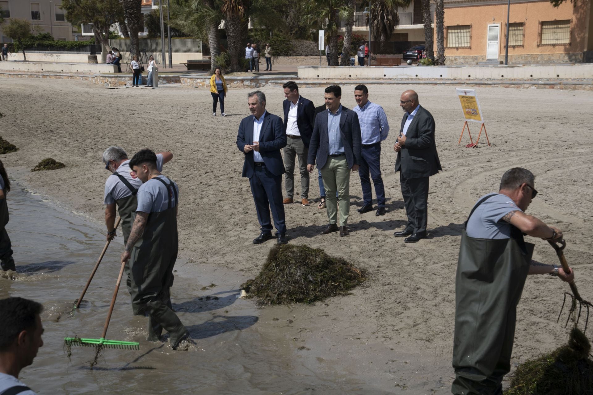 Retirada de biomasa en el Mar Menor, en imágenes