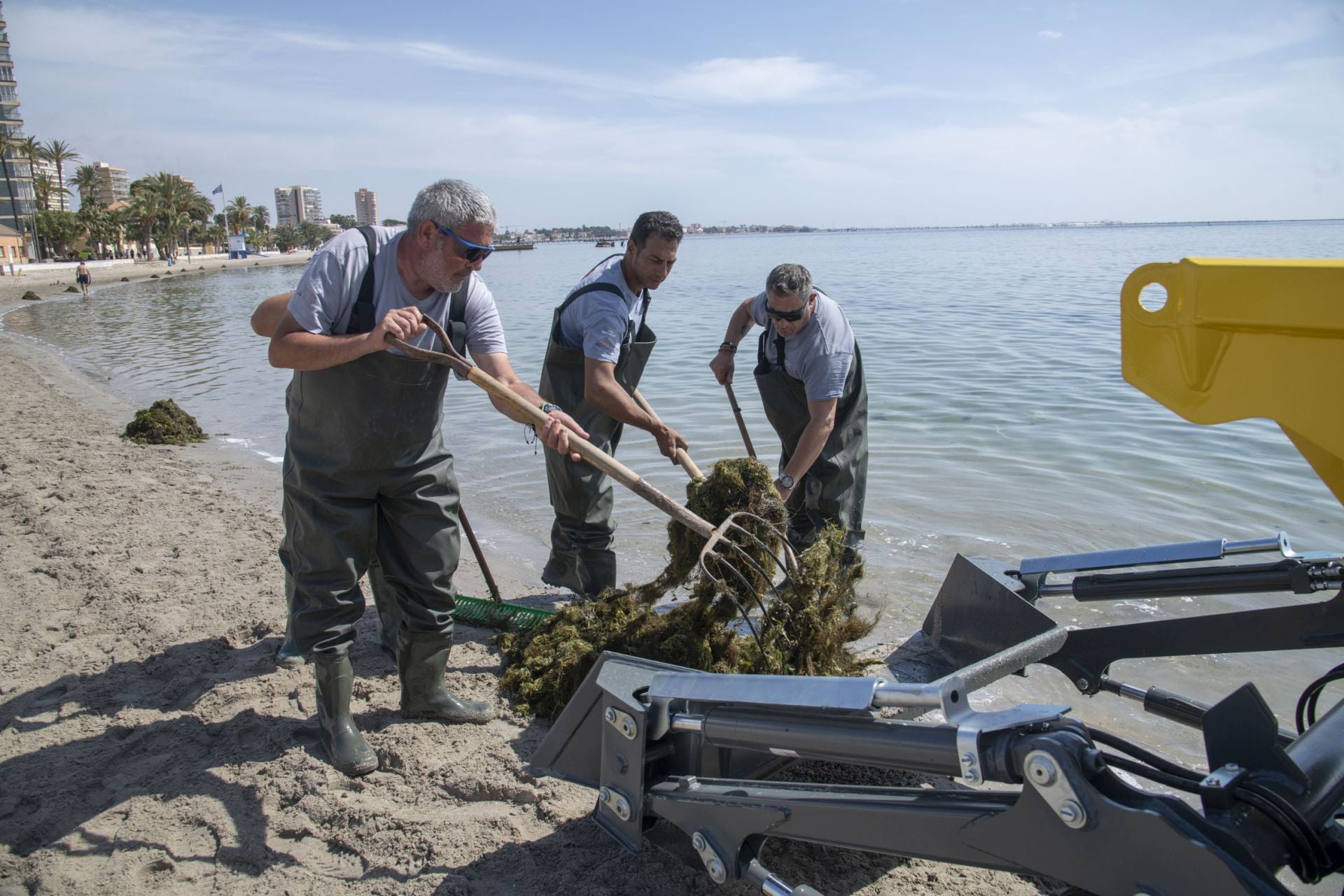 Retirada de biomasa en el Mar Menor, en imágenes