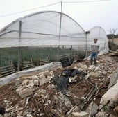 Destrozos causados por la lluvia en un invernadero.