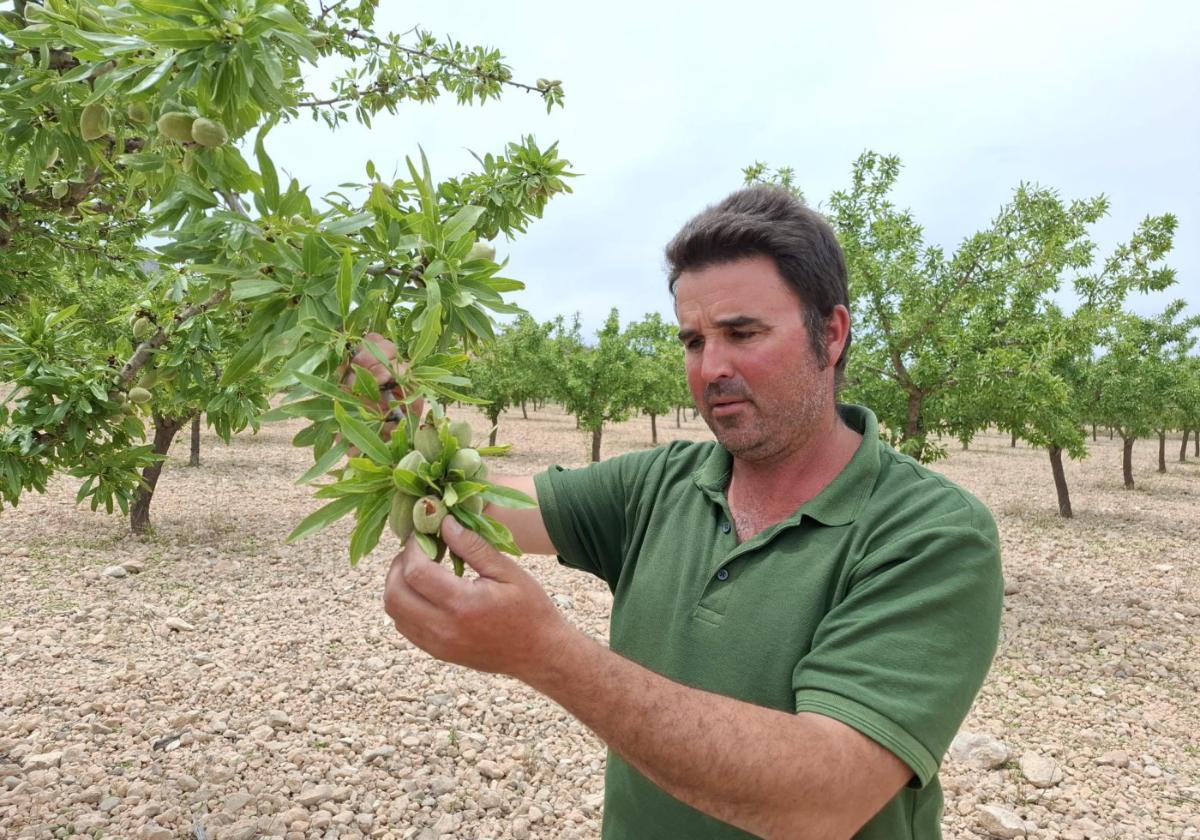 La granizada provocará más de 60 millones de pérdidas en la agricultura
