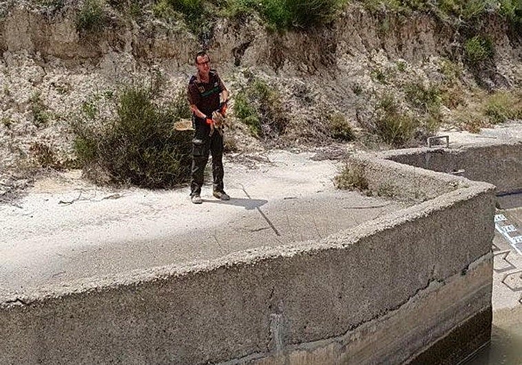 Uno de los agentes sujeta a uno de los dos rayones rescatados.