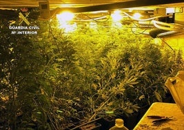 El cultivo de maría en un zulo subterráneo de Campos del Río.