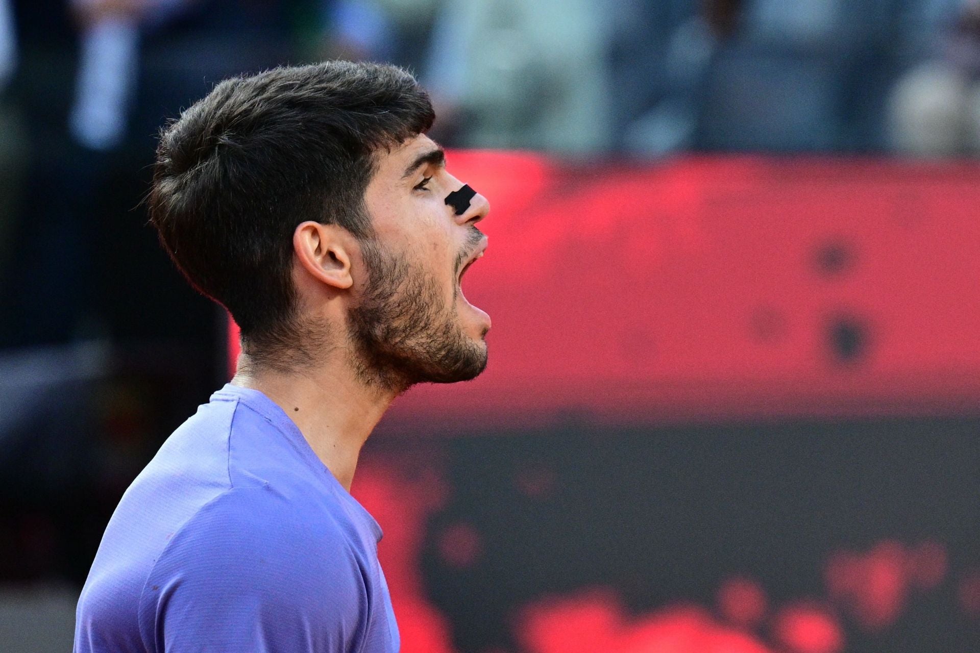 La final de Roma entre Carlos Alcaraz y Jannik Sinner, en imágenes