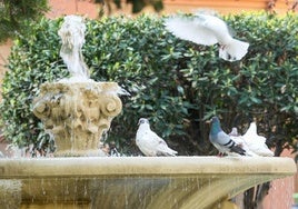 Fuente de la plaza de los Patos, en Vistabella (Murcia).