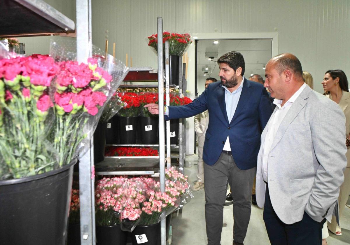 La región de murcia es la cuarta autonomía que más flores y plantas exporta | la verdad