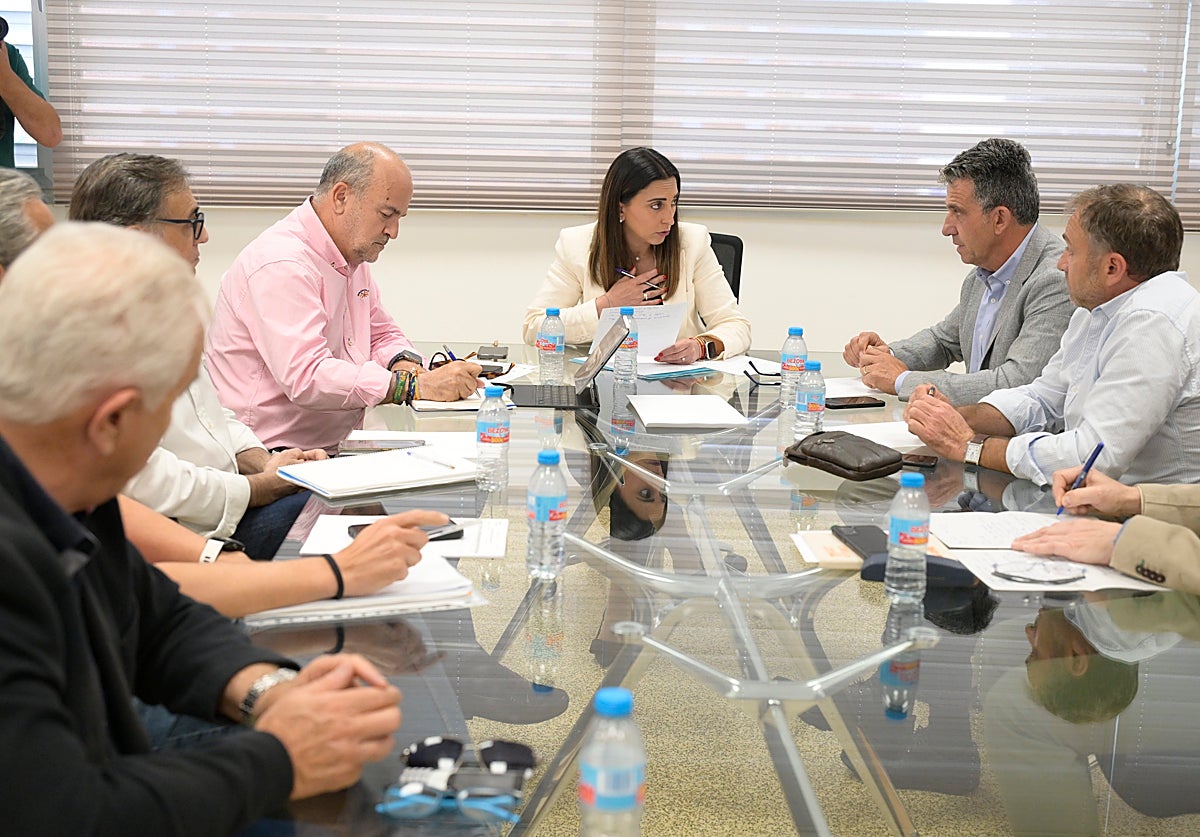 Reunión entre la consejera Sara Rubira y los dirigentes de COAG, Asaja, UPA y Fecoam este miércoles.
