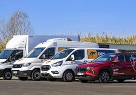 Vehículos de DFM Rent a Car.