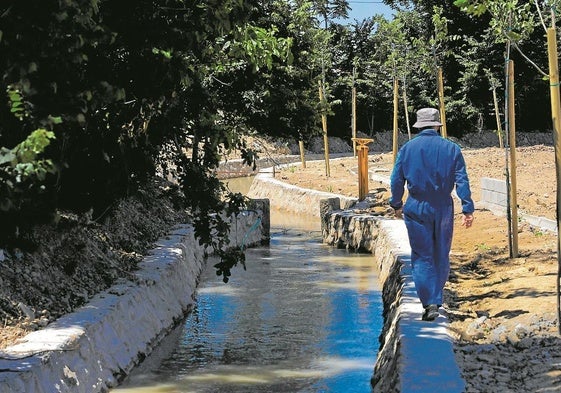 Un huertano pasea por la nueva zona canalizada de la acequia de Benetúcer en Llano de Brujas.