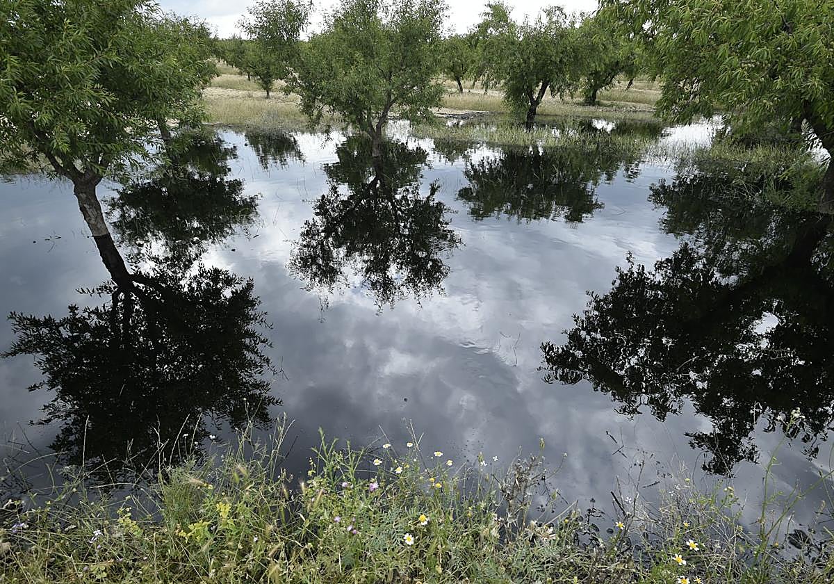 Las imágenes del vertido de petróleo en una finca de Calasparra
