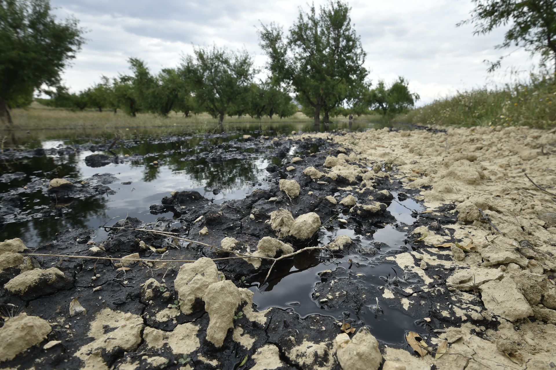 Las imágenes del vertido de petróleo en una finca de Calasparra
