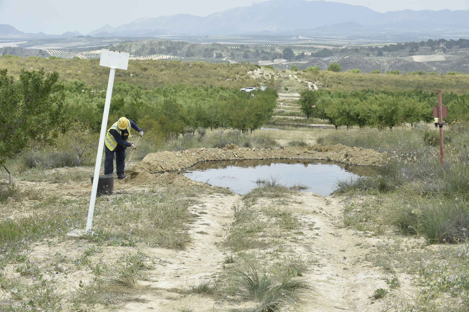 Las imágenes del vertido de petróleo en una finca de Calasparra