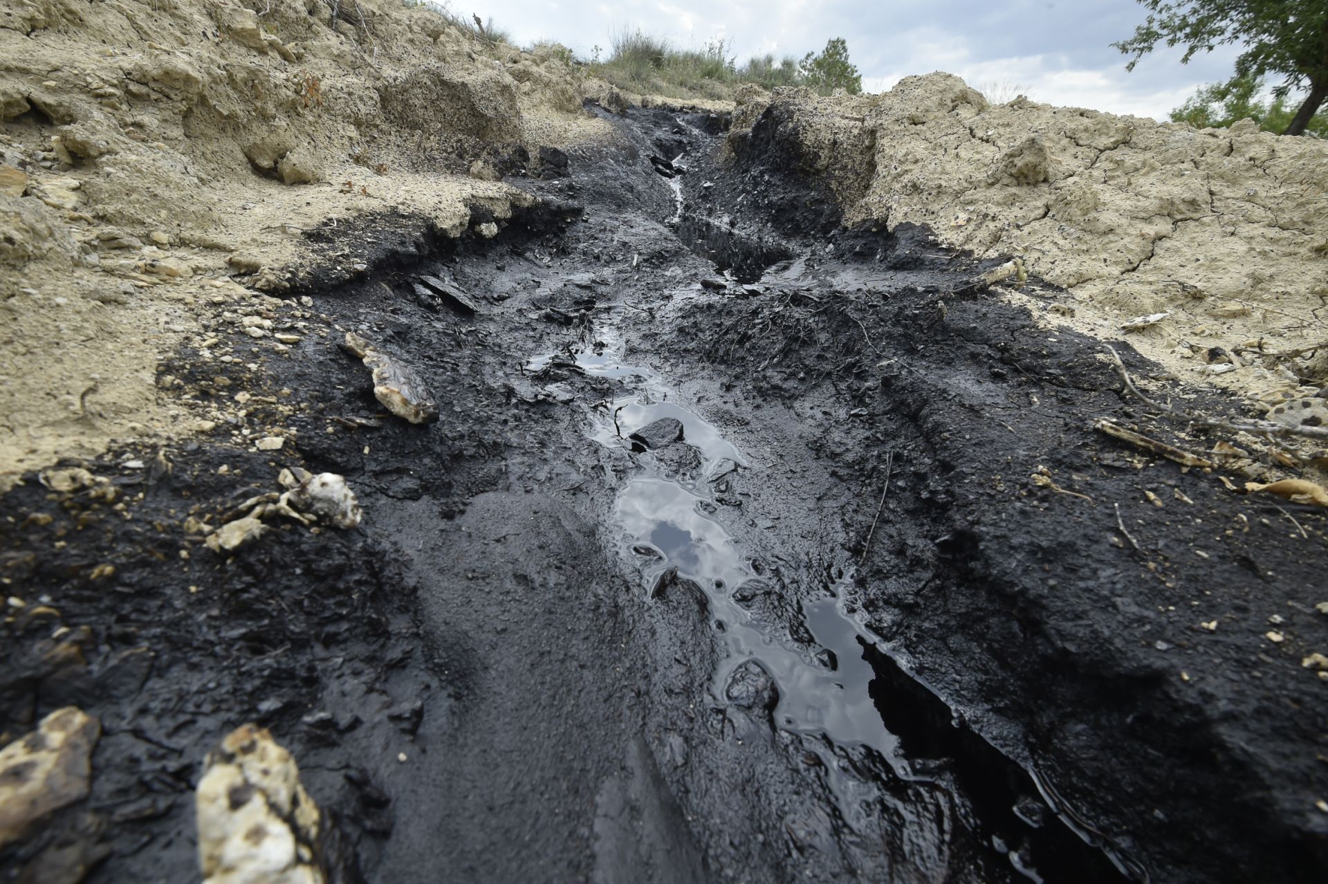 Las imágenes del vertido de petróleo en una finca de Calasparra