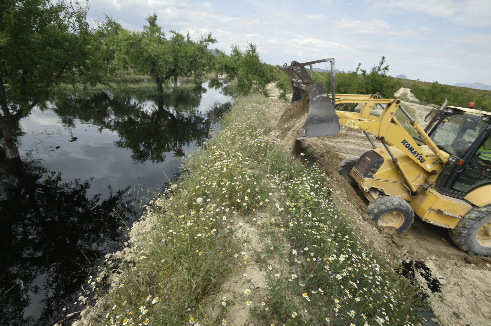 Las imágenes del vertido de petróleo en una finca de Calasparra