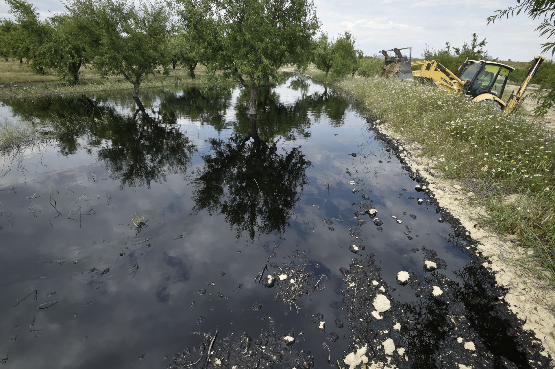 Las imágenes del vertido de petróleo en una finca de Calasparra