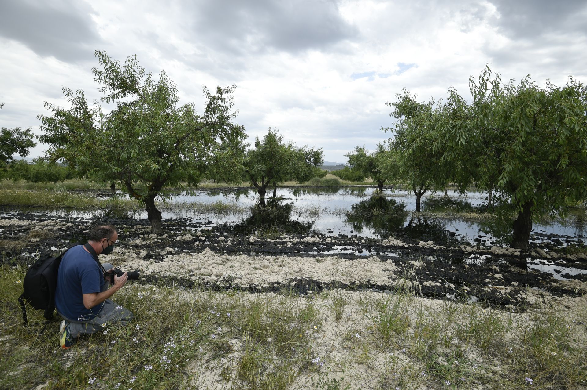 Las imágenes del vertido de petróleo en una finca de Calasparra