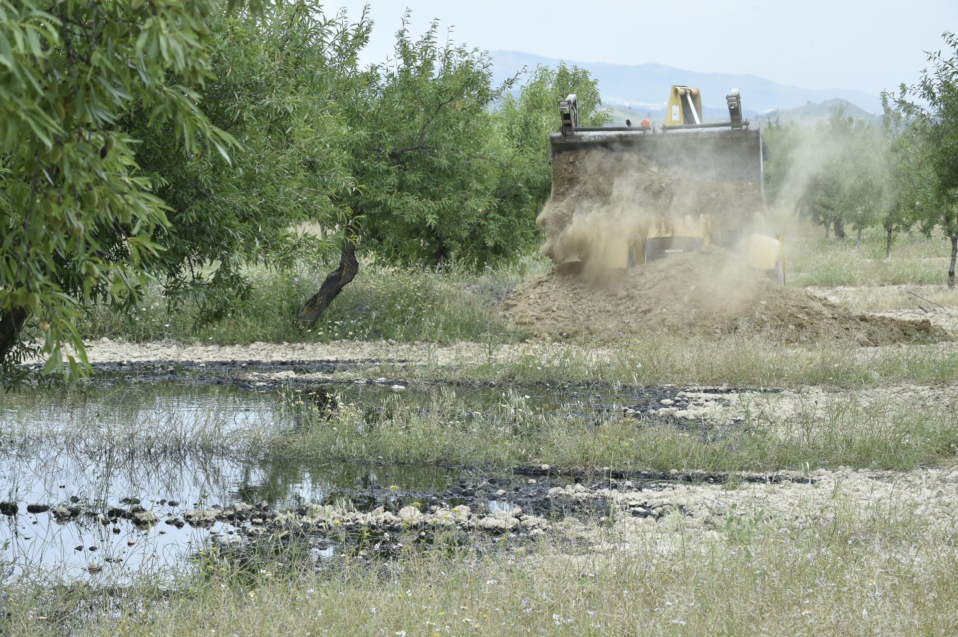 Las imágenes del vertido de petróleo en una finca de Calasparra