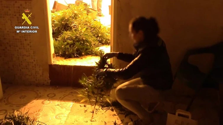 Trece detenidos por una operación antidroga en San Javier y San Pedro del Pinatar