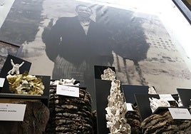 Algunas de las 14 obras de barro que interpretan poemas de Miguel Hernández, en el Centro de Recepción de Visitantes de la Casa Museo.