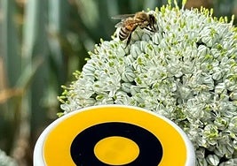 Sensor instaladopor la plataformade información depolinización.