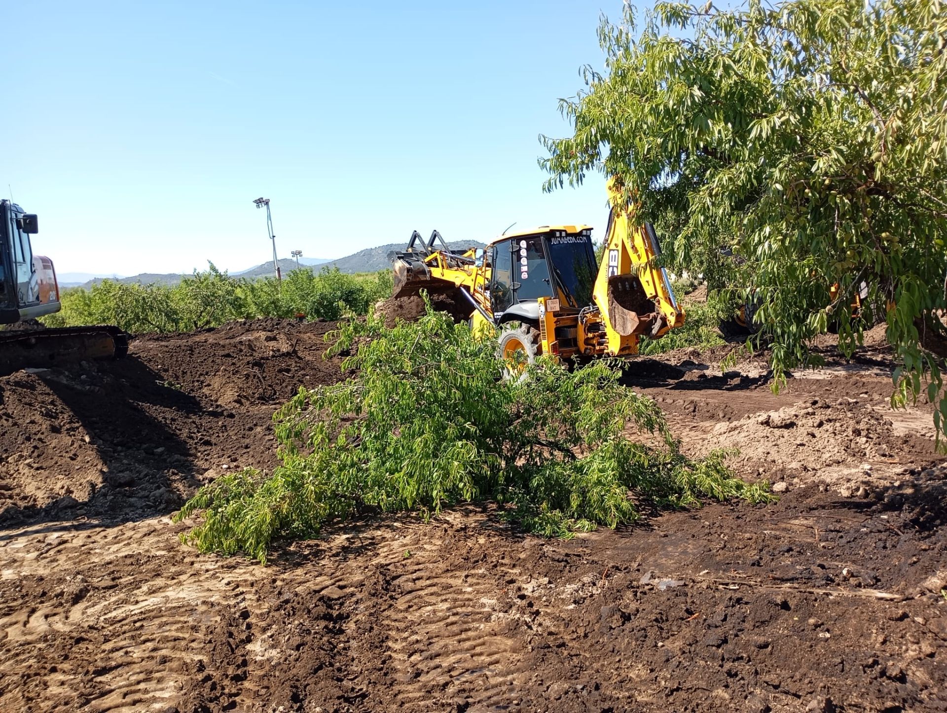 El petróleo vertido se infiltra dos metros en la finca de Calasparra