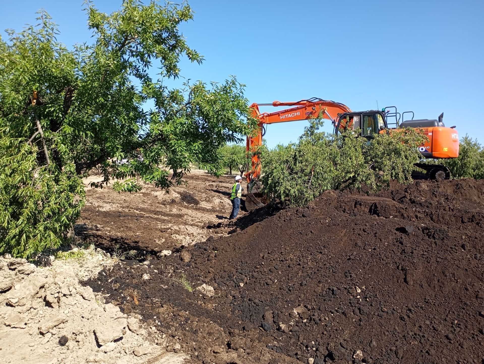 El petróleo vertido se infiltra dos metros en la finca de Calasparra