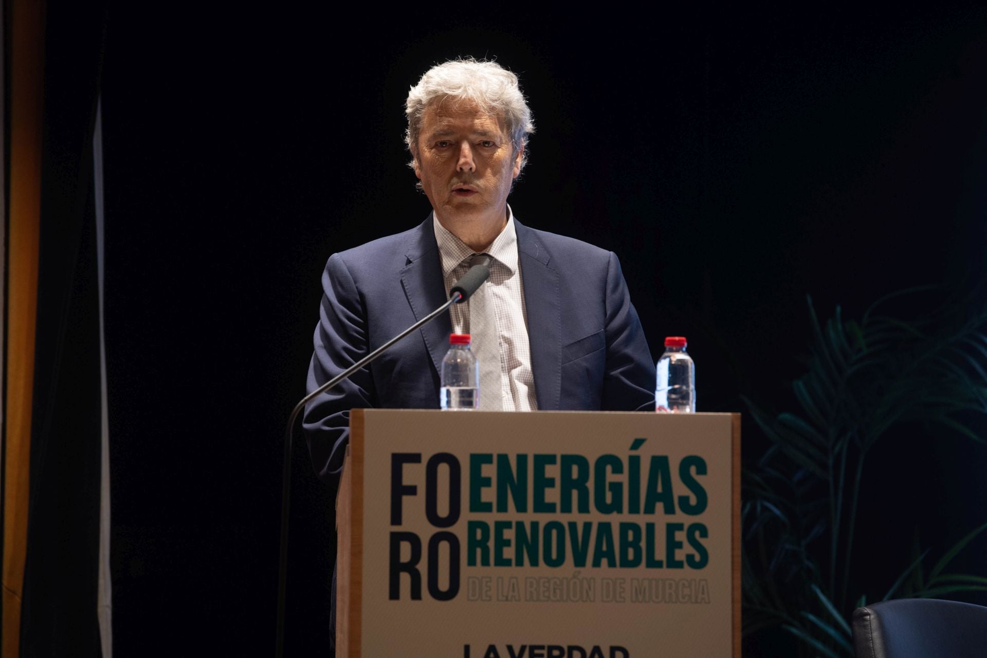 El foro sobre el impacto de las renovables en el modelo energético de la Región de Murcia, en imágenes