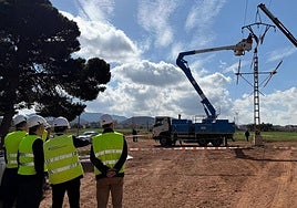 Los técnicos de la compañía realizan trabajos en una torre de la red eléctrica.