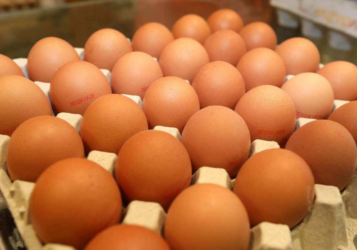 El huevo es un elemento clave en la alimentación humana desde hace milenios | la verdad