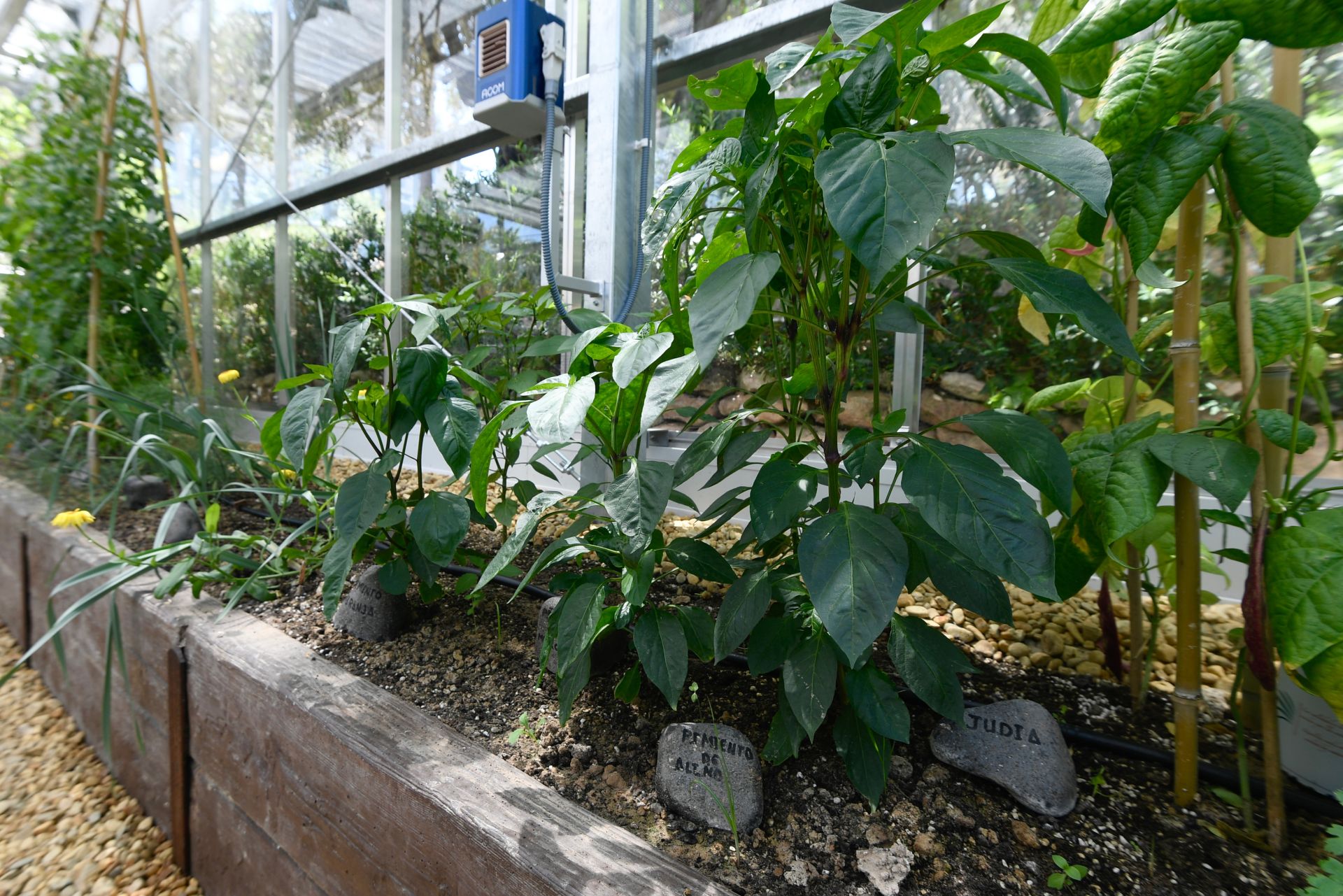 El &#039;Living lab&#039; del restaurante de Pablo González, en imágenes