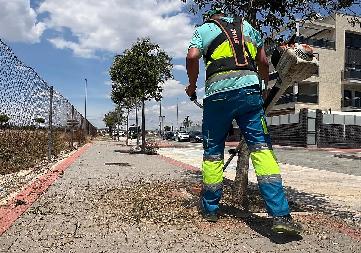 El operativo especial de desbroce y aseo despeja las calles de veinte pedanías de Murcia