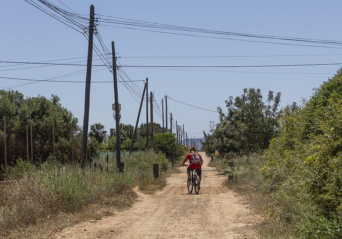 Un ciclista circula por la Vía Verde, a la altura del paraje Los Navarros de La Aljorra.