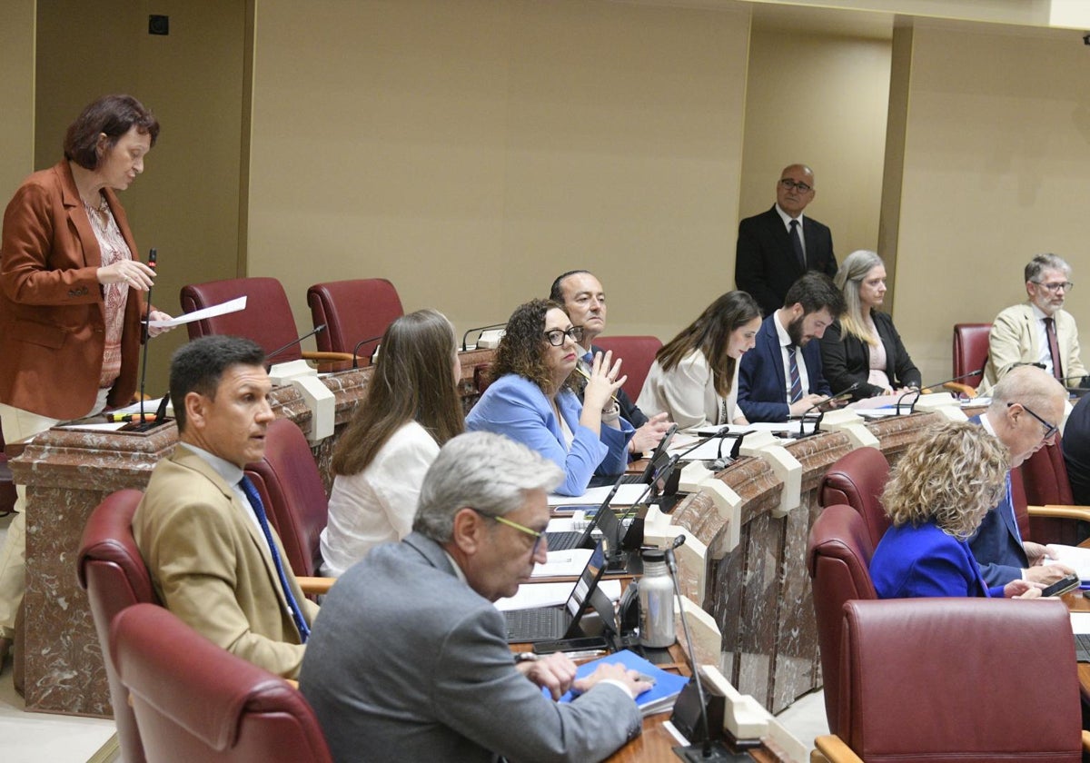 Críticas de podemos por no hacer un receso en la asamblea para recibir a los trabajadores de navantia | la verdad