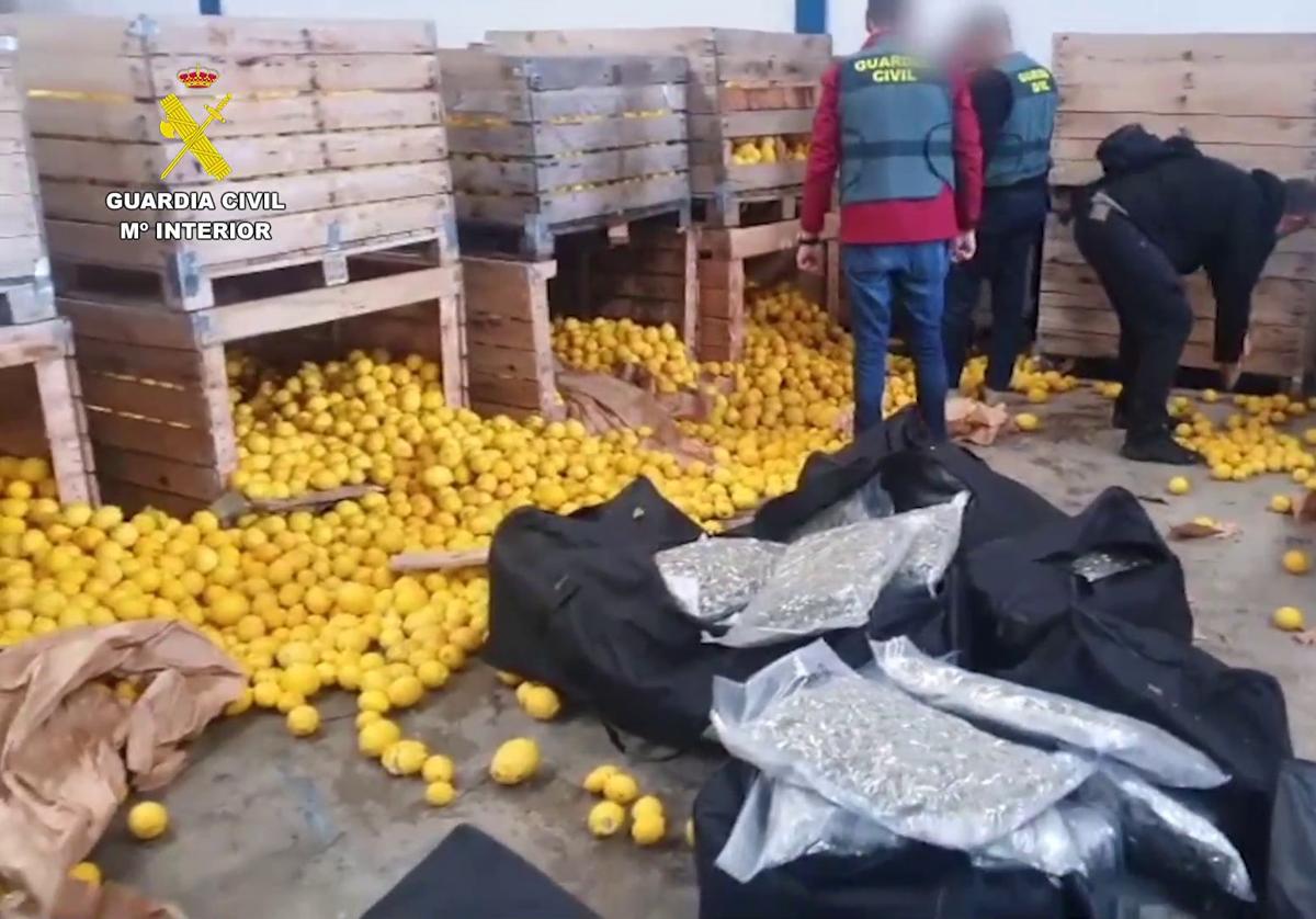 Cae una organización de la región de murcia que transportaba marihuana a alemania en camiones de hortalizas | la verdad