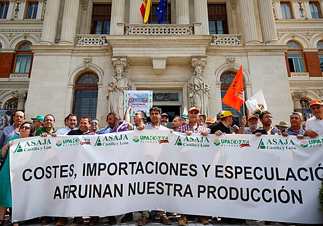 Las organizaciones agrarias COAG, Asaja y UPA se manifiestan este miércoles en Madrid por la crisis en el cereal.