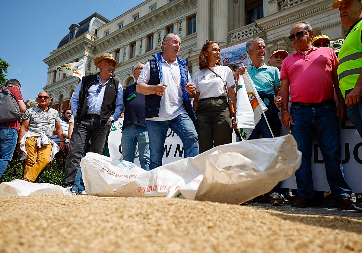 Sacas de grano vertidas frente al Ministerio de Agricultura, este miércoles, en Madrid.