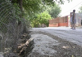 Desperfectos, falta de servicios y plagas en Aljucer, en imágenes