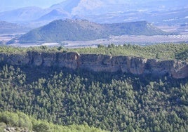 Bosque en Moratalla.