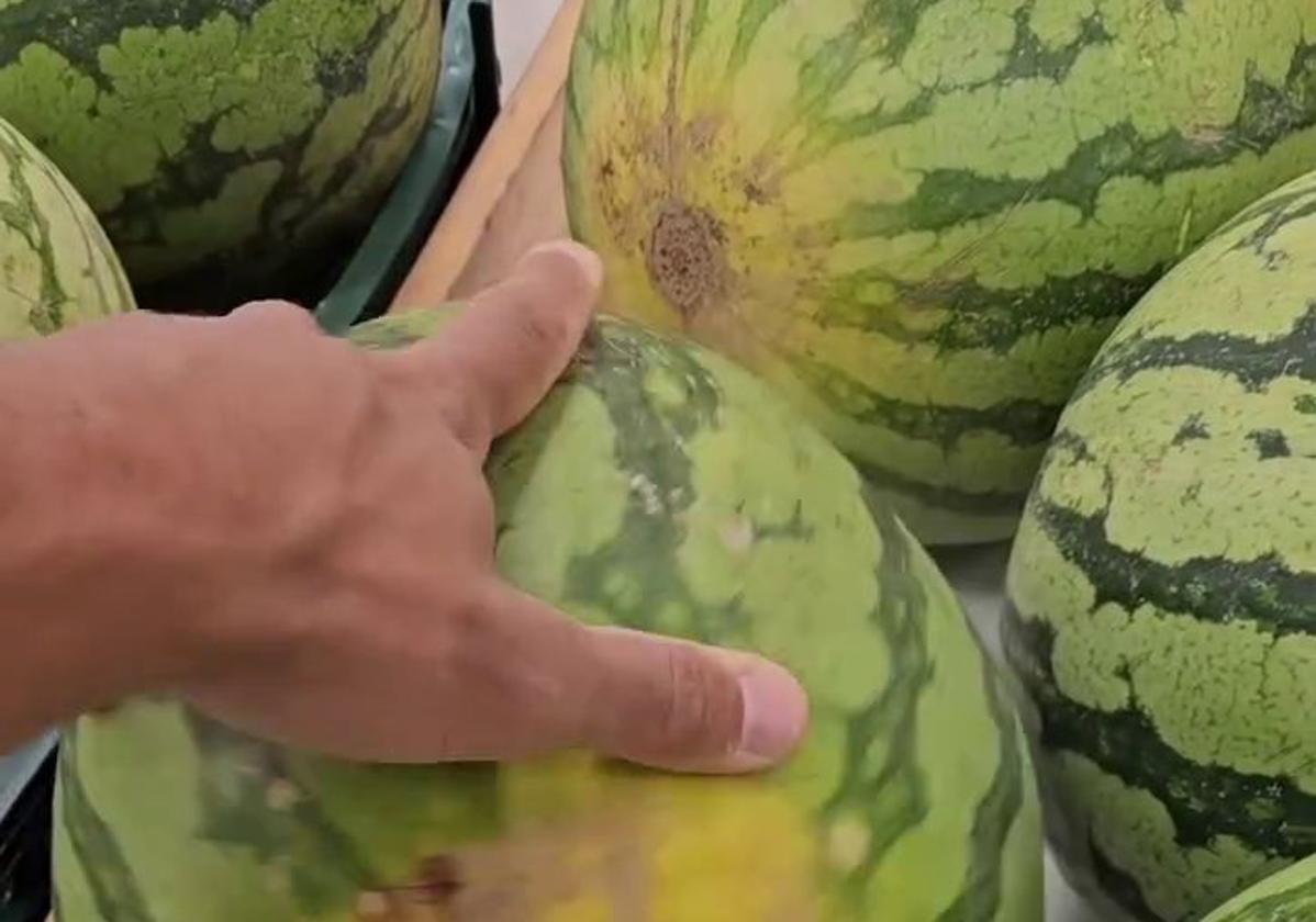 El truco para elegir la mejor sandía del supermercado.