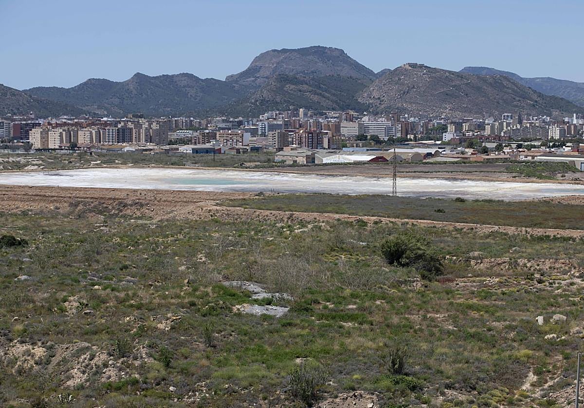 Suelos contaminados de Zinsa, en una imagen de archivo.