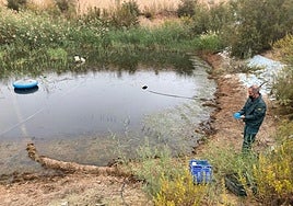 Un agente del Seprona, durante la inspección de una de las fincas de Murcia afectadas por los residuos.