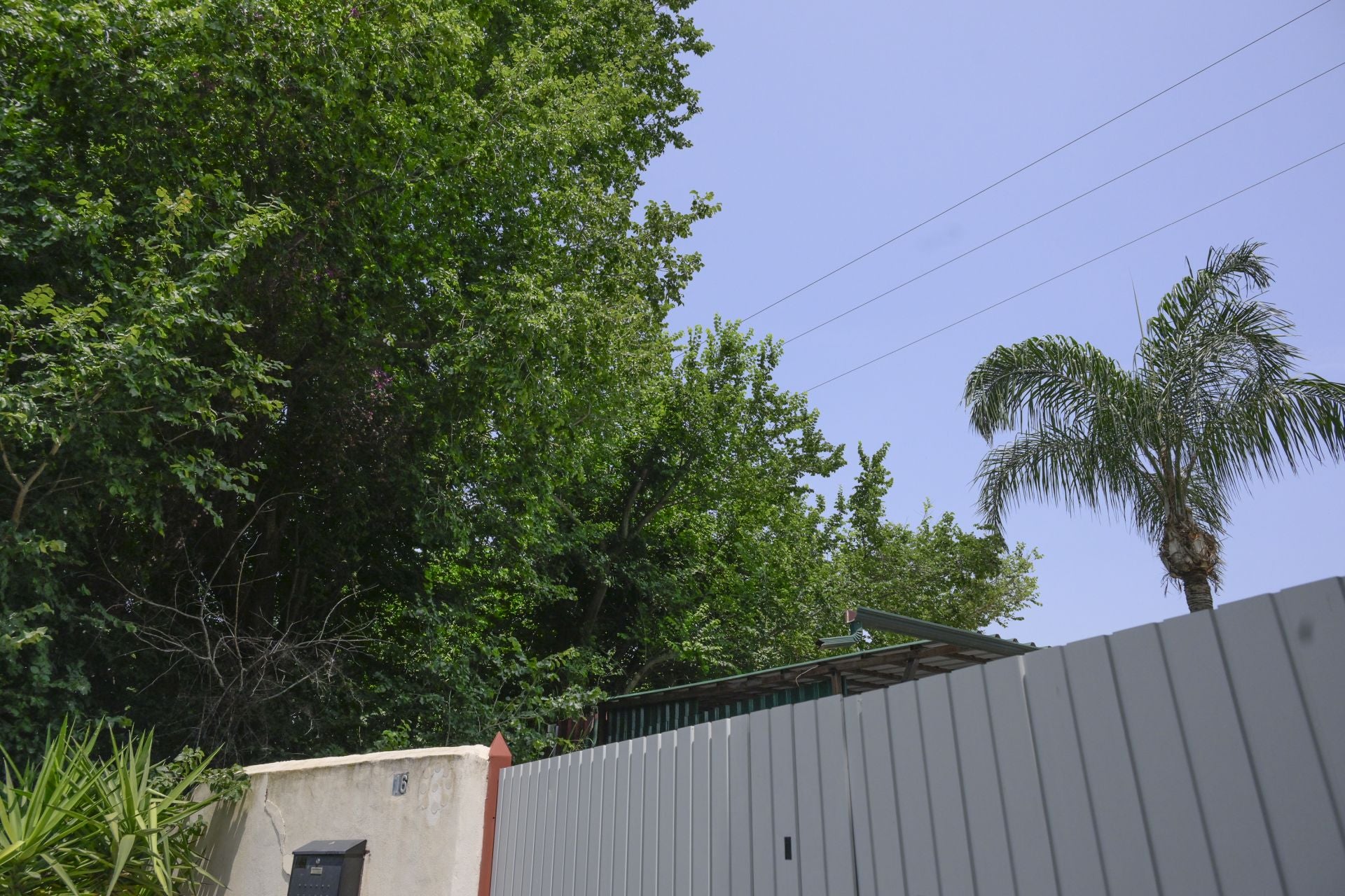 Desperfectos, falta de servicios y plagas en Aljucer, en imágenes