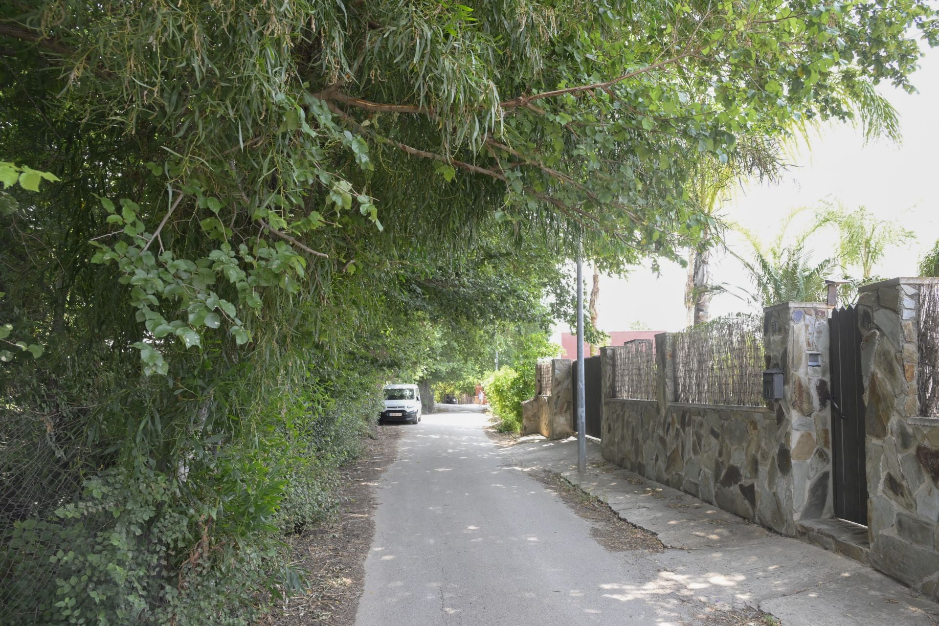 Desperfectos, falta de servicios y plagas en Aljucer, en imágenes