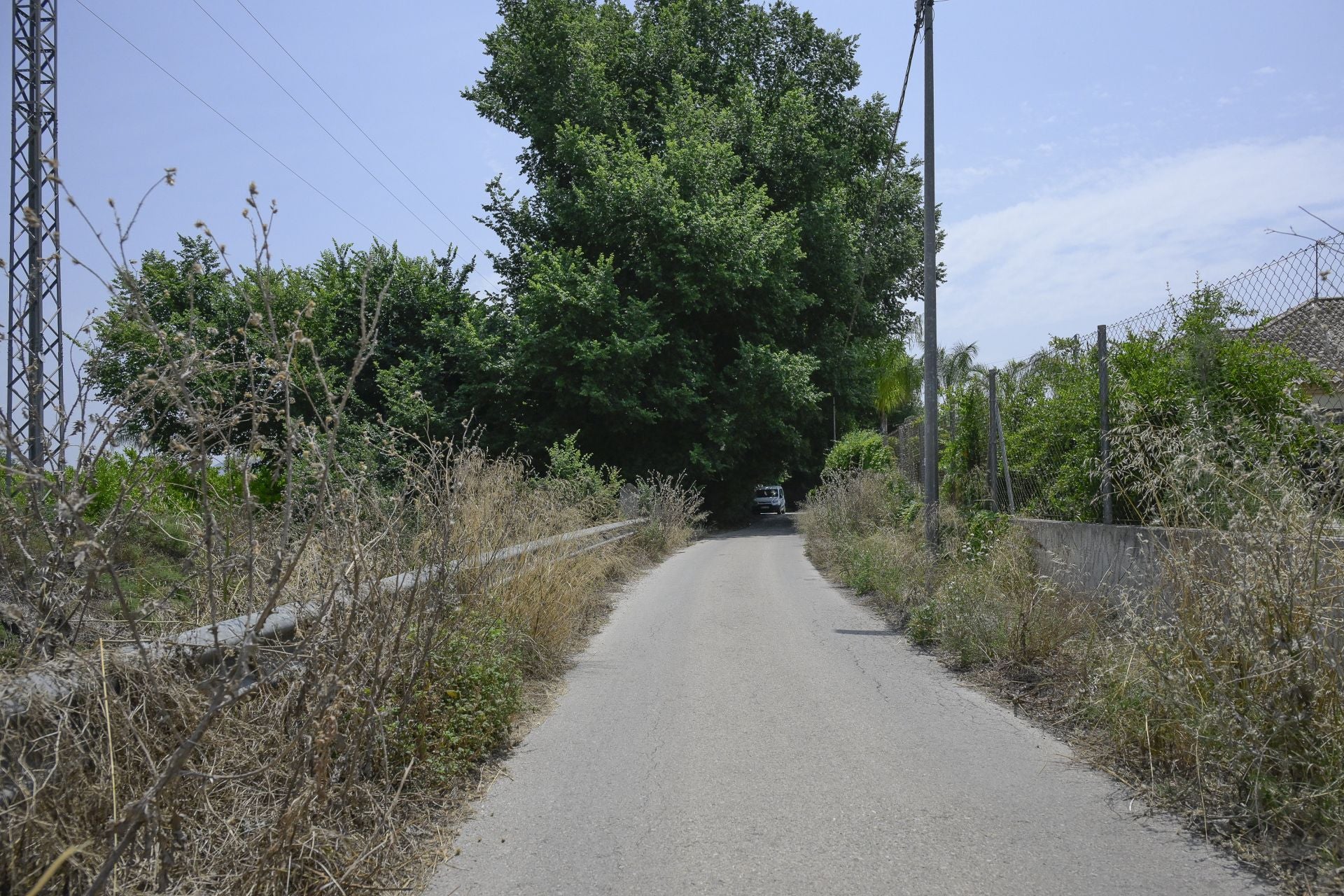 Desperfectos, falta de servicios y plagas en Aljucer, en imágenes