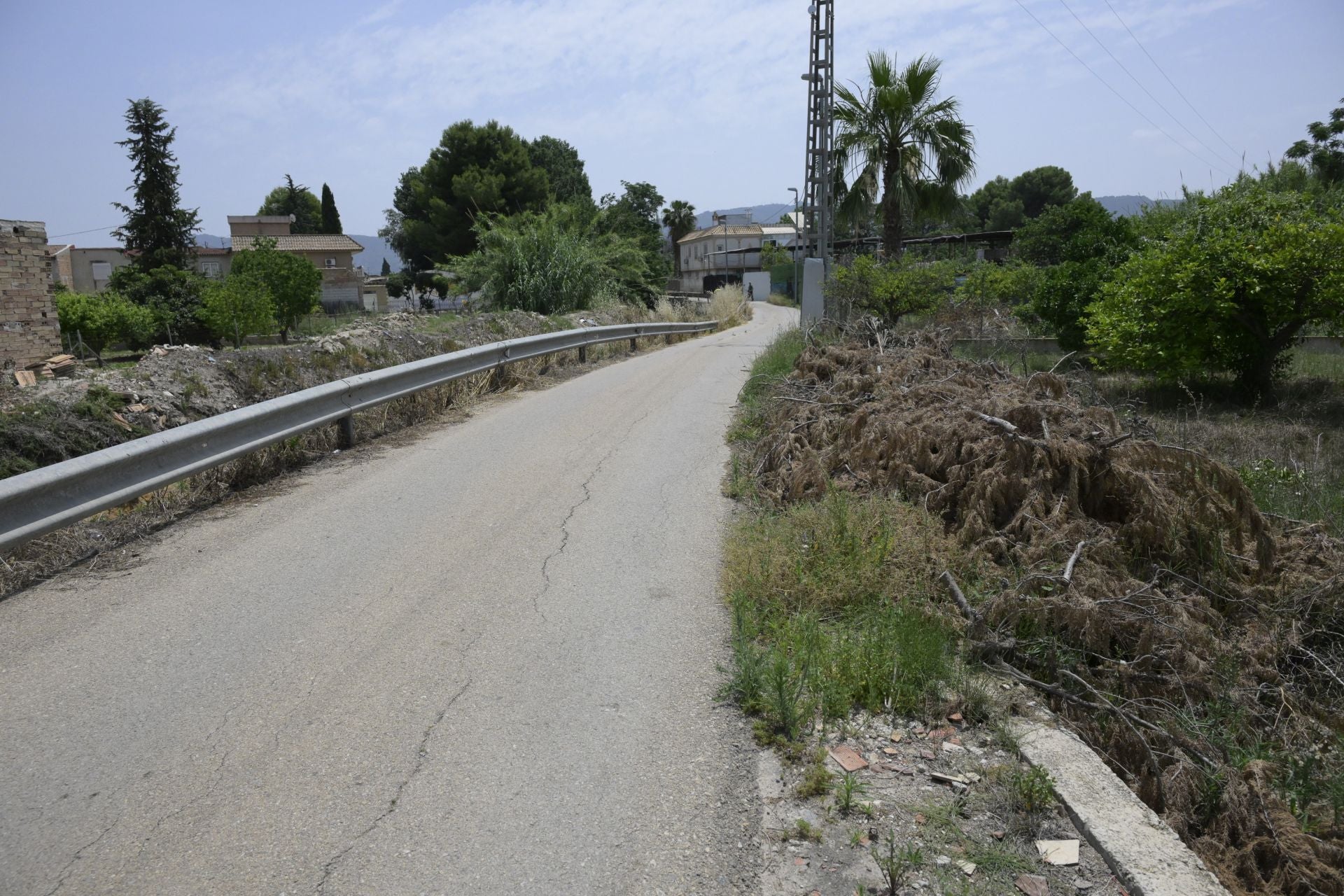 Desperfectos, falta de servicios y plagas en Aljucer, en imágenes