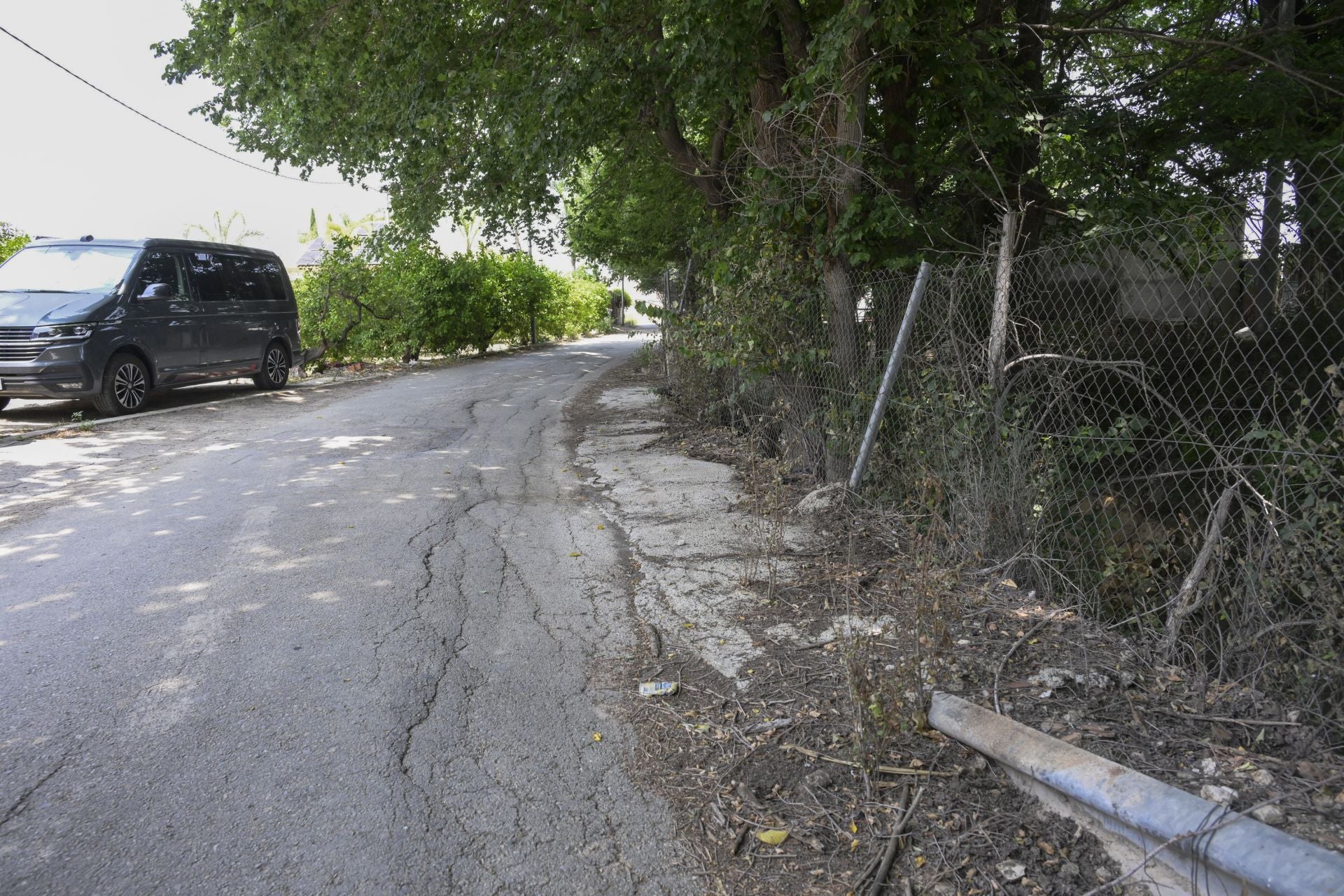 Desperfectos, falta de servicios y plagas en Aljucer, en imágenes