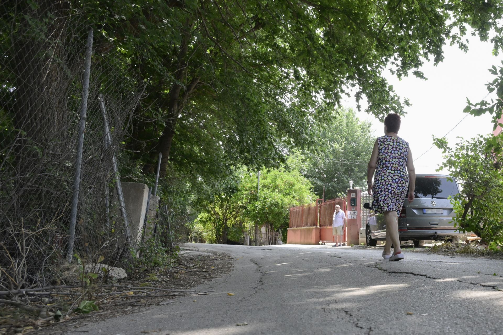 Desperfectos, falta de servicios y plagas en Aljucer, en imágenes